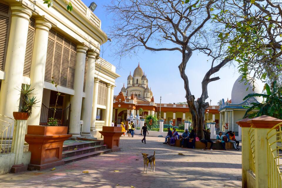 A historic building with domed architecture, a large tree, and people sitting on a bench.