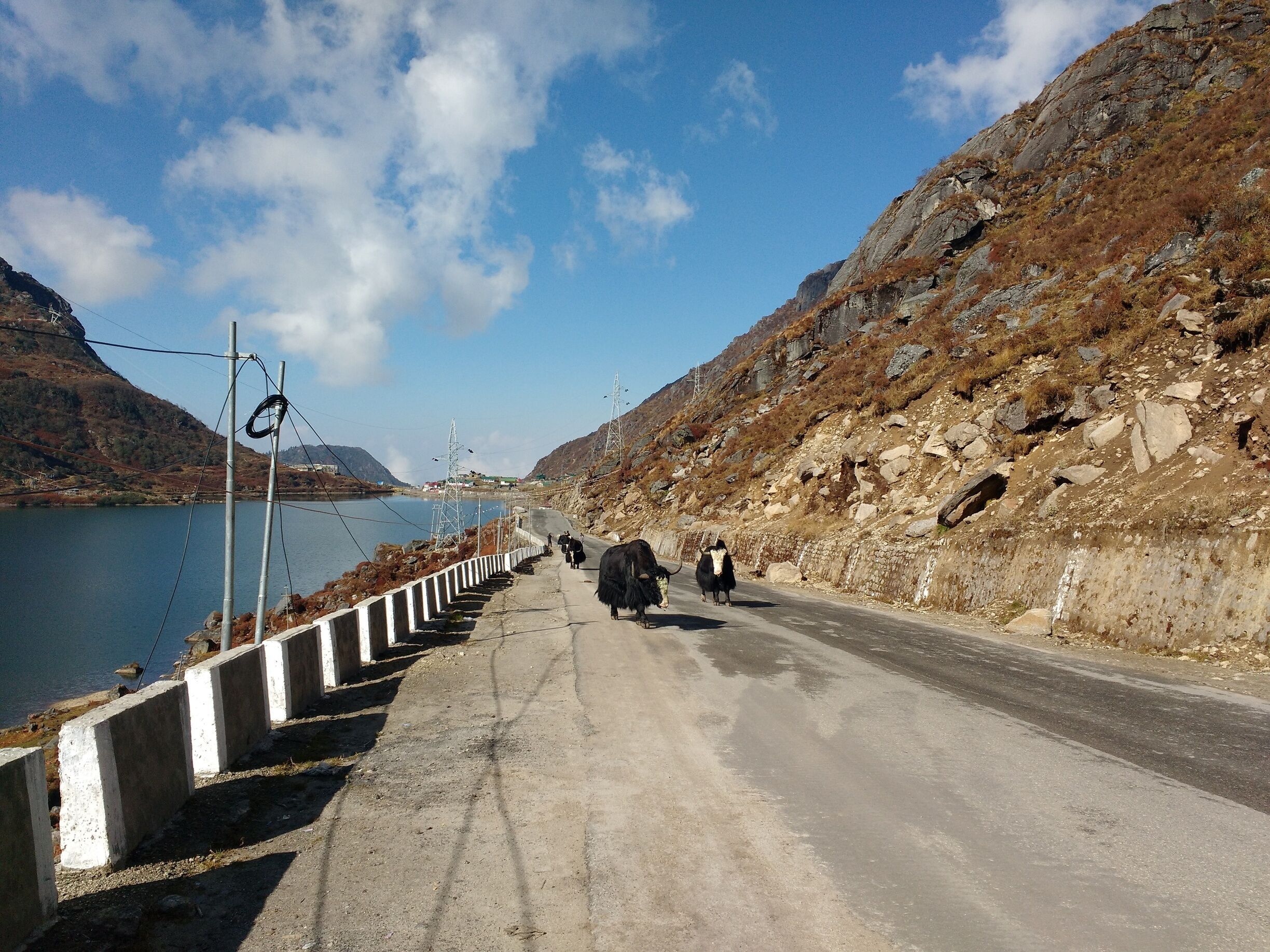 Sunny Side

Yaks trudge on on a warm sunny day..

Tsomogo lake attracts many a tourists, its one of the major attractions of Sikkim State...a growing destination for adventure tourism.