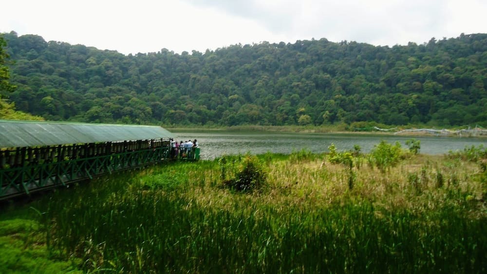 The scared lake at Sikkim India. One of the clean and neat lakes in India. It is believed that even tree leaves are not allowed to float on the surface of the lake. Even if a single leaf float on the surface the birds carry those with them and make sure that the lake is clean.
It is also believed that the shape of the lake looks like the shape of foot of Lord Buddha. It is also knows as wish fulfilling lake.
#india #northeast #lake #mothernature #outdoors