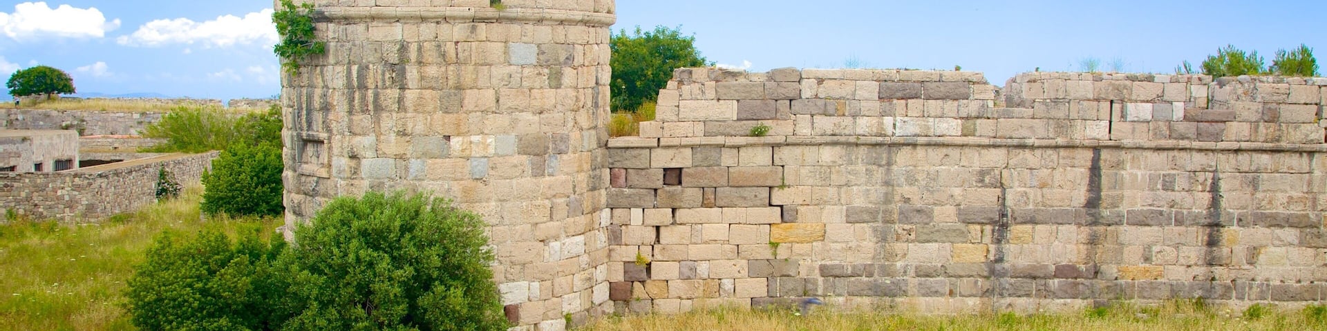 Kos Castle featuring building ruins
