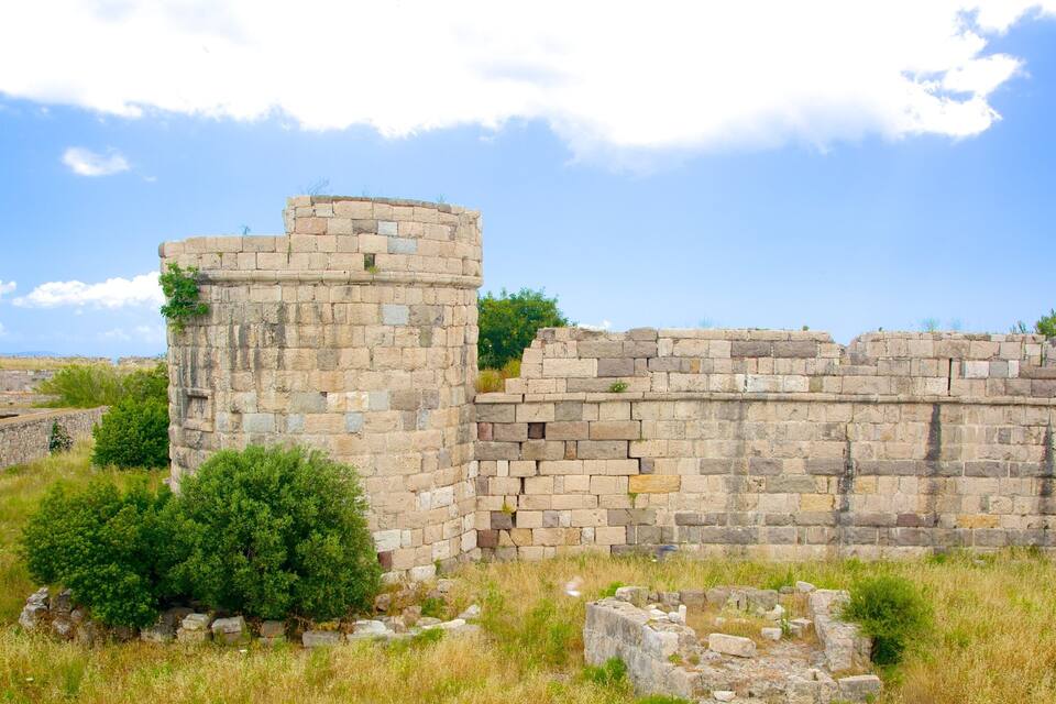 Ancient stone walls and ruins in a grassy field.