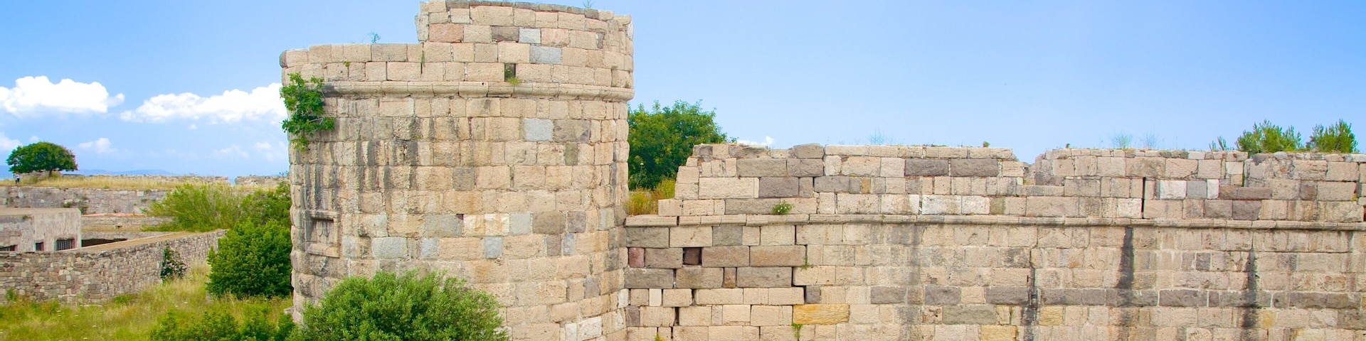 Kos Castle featuring building ruins