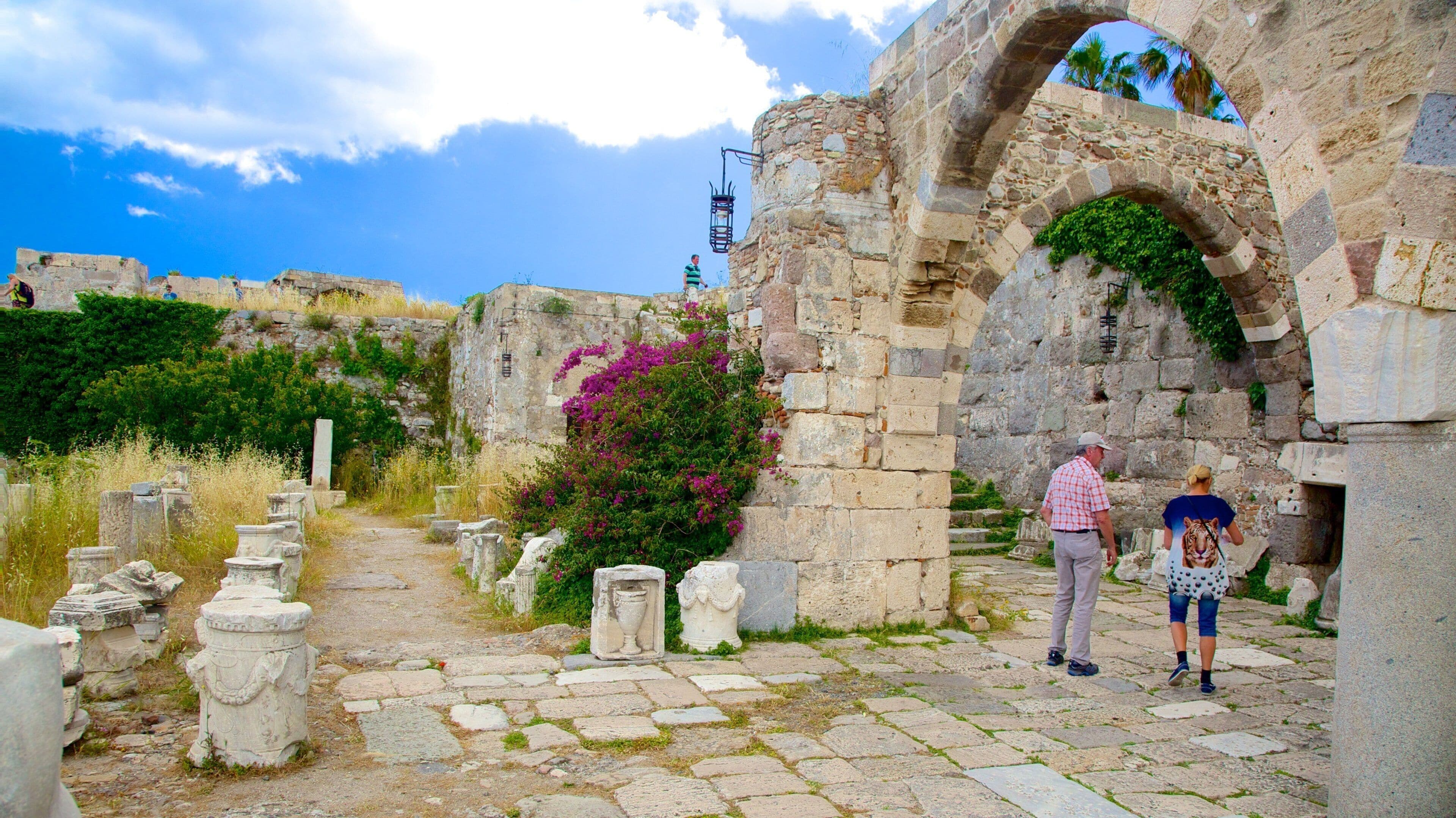 Kos Castle which includes heritage architecture, chateau or palace and building ruins