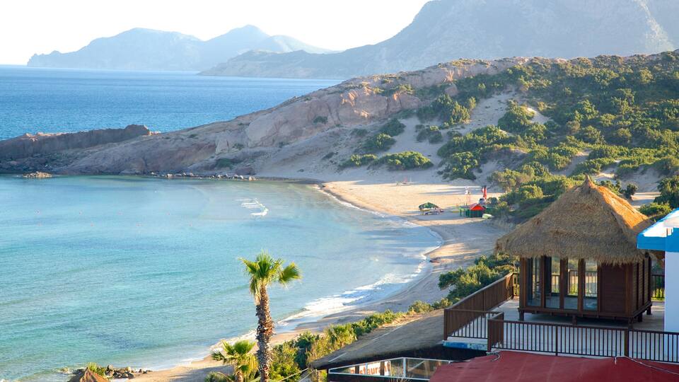 A coastal landscape with a beach, palm trees, a thatched-roof building, and mountains in the background.