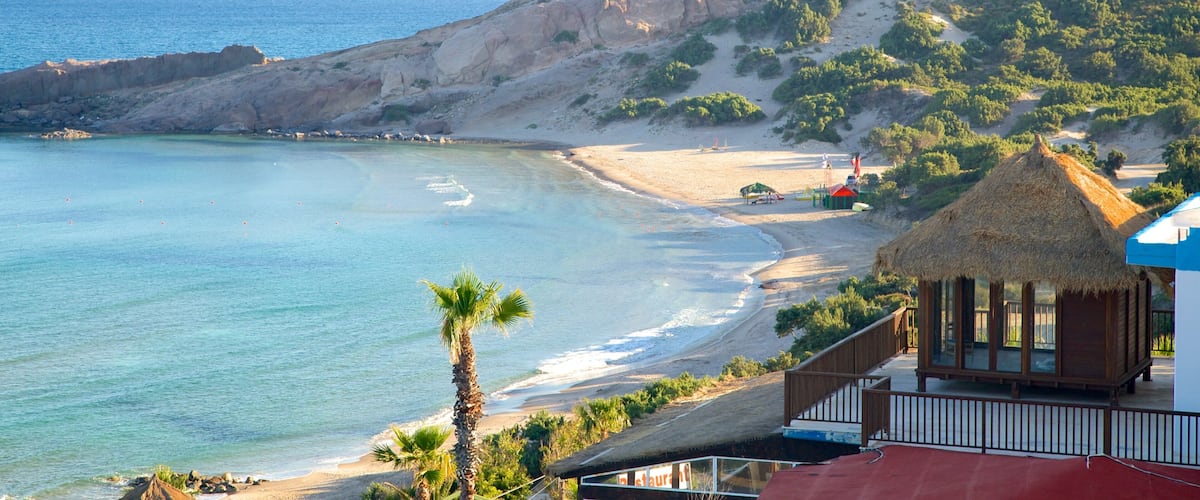 A coastal landscape with a beach, palm trees, a thatched-roof building, and mountains in the background.
