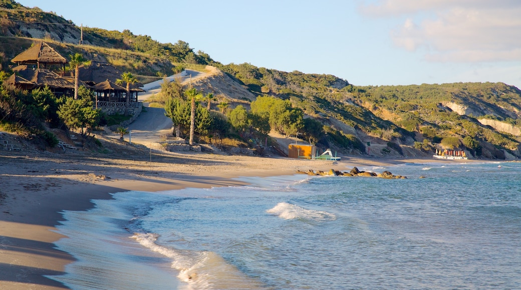 Paradise Beach toont een zandstrand en algemene kustgezichten