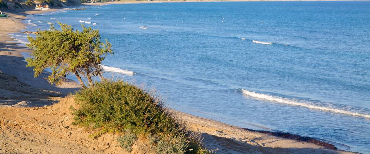 Paradise Beach featuring a beach and general coastal views