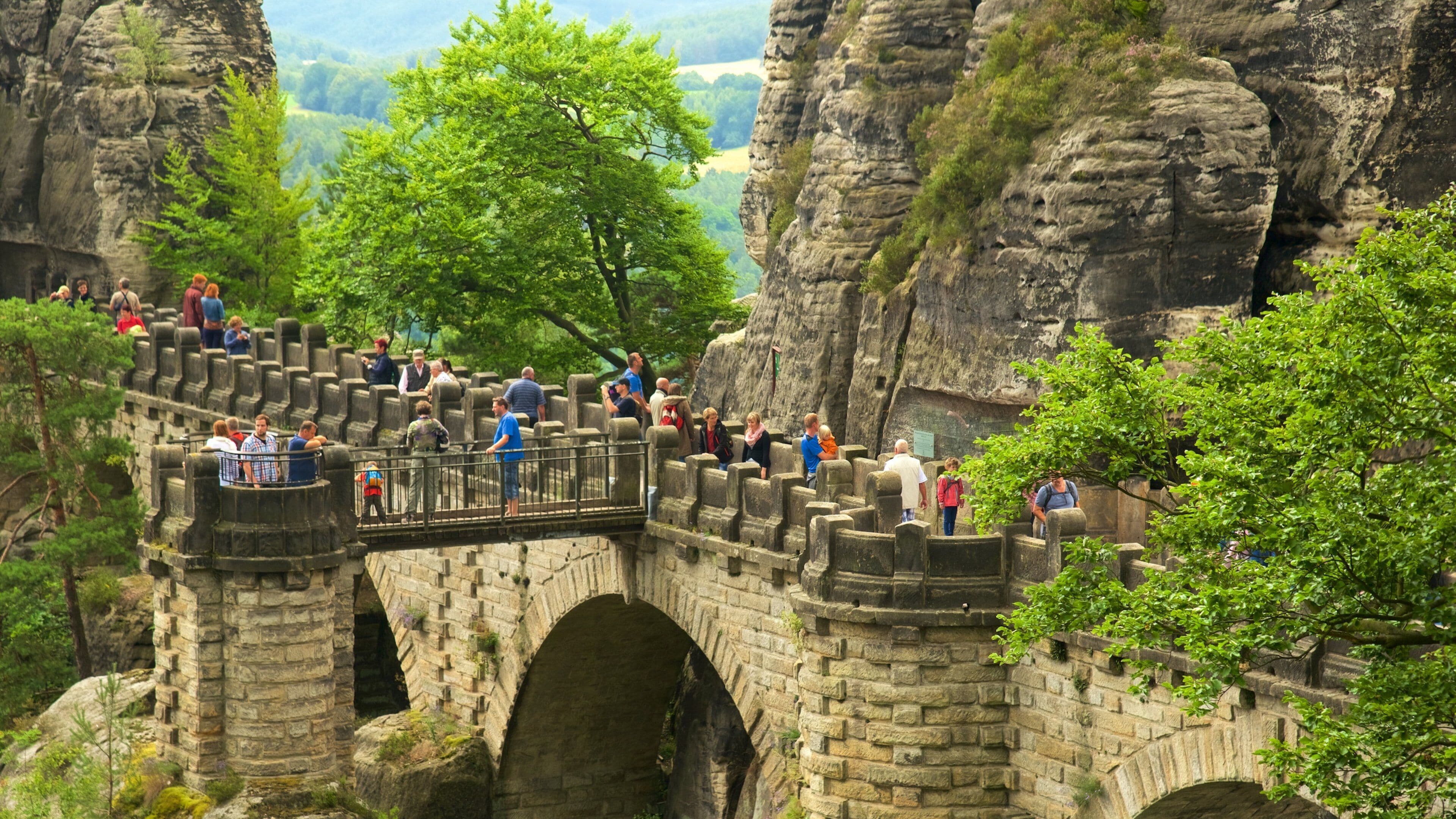 Saxon Switzerland National Park showing a bridge
