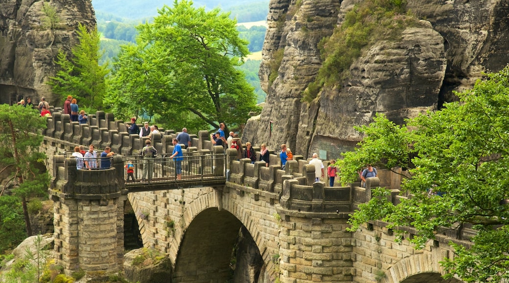 Saxon Switzerland National Park showing a bridge