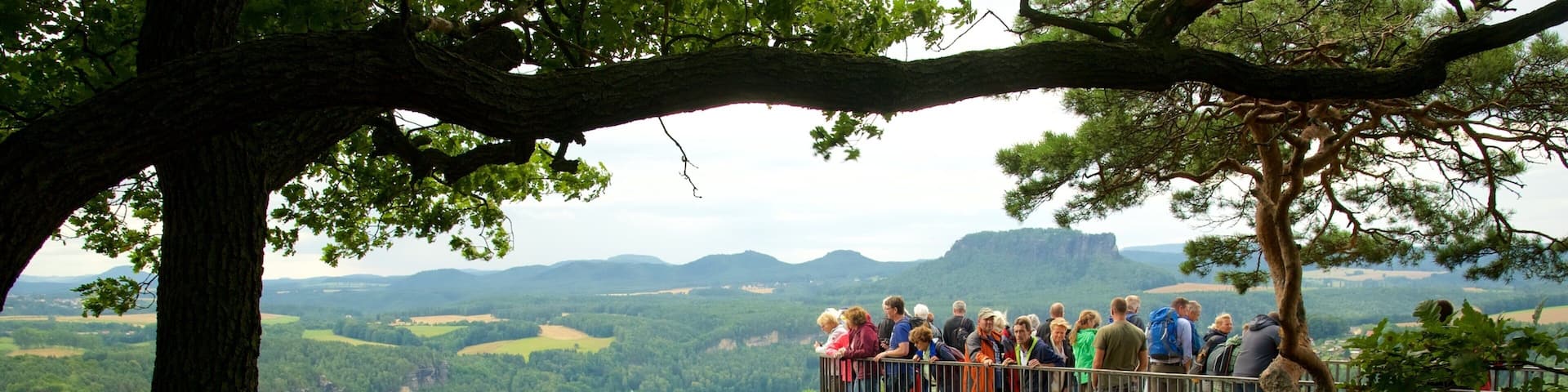 Parc national de la Suisse saxonne montrant rivière ou ruisseau et vues aussi bien que important groupe de personnes