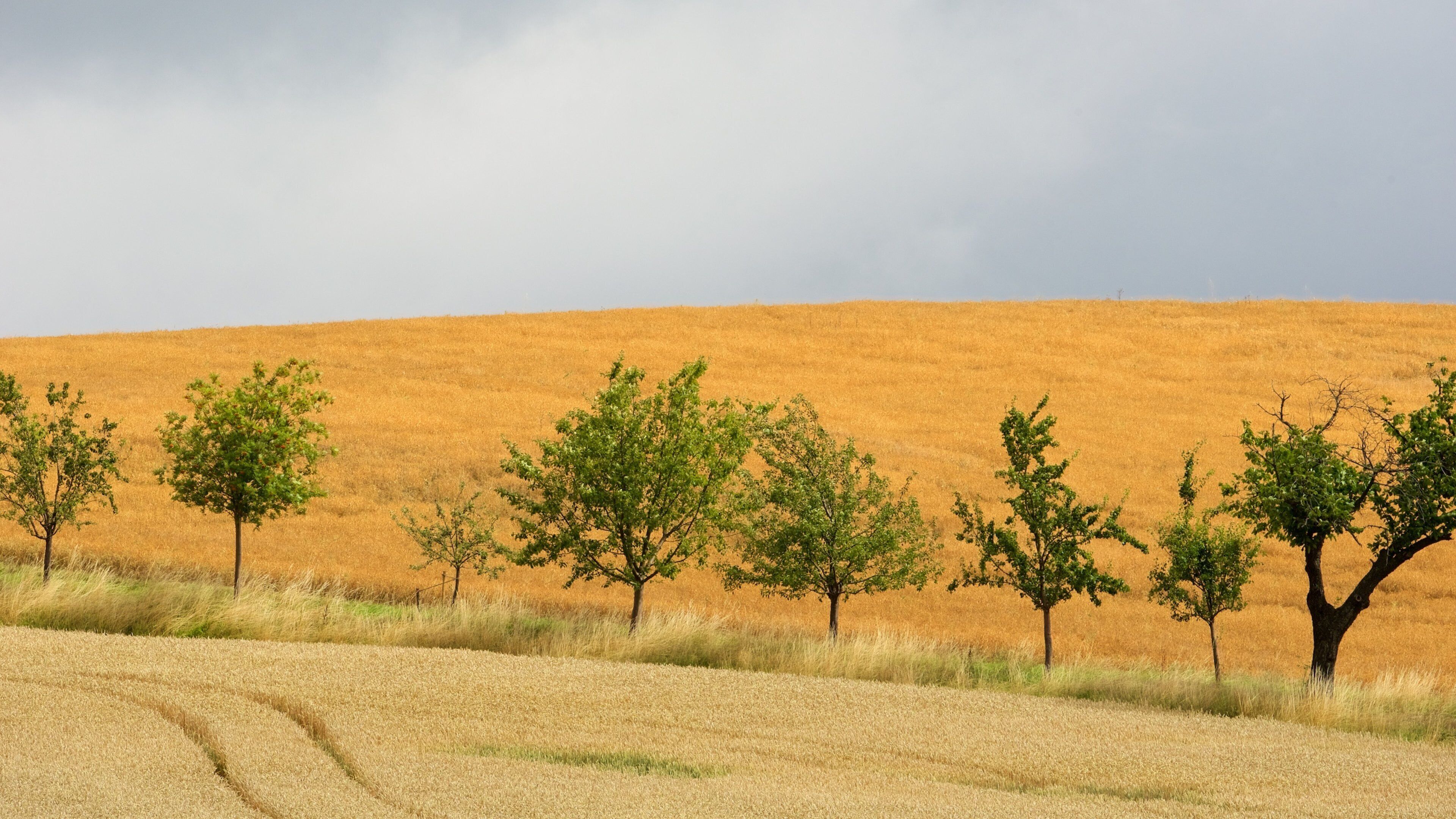Saxon Switzerland National Park showing farmland