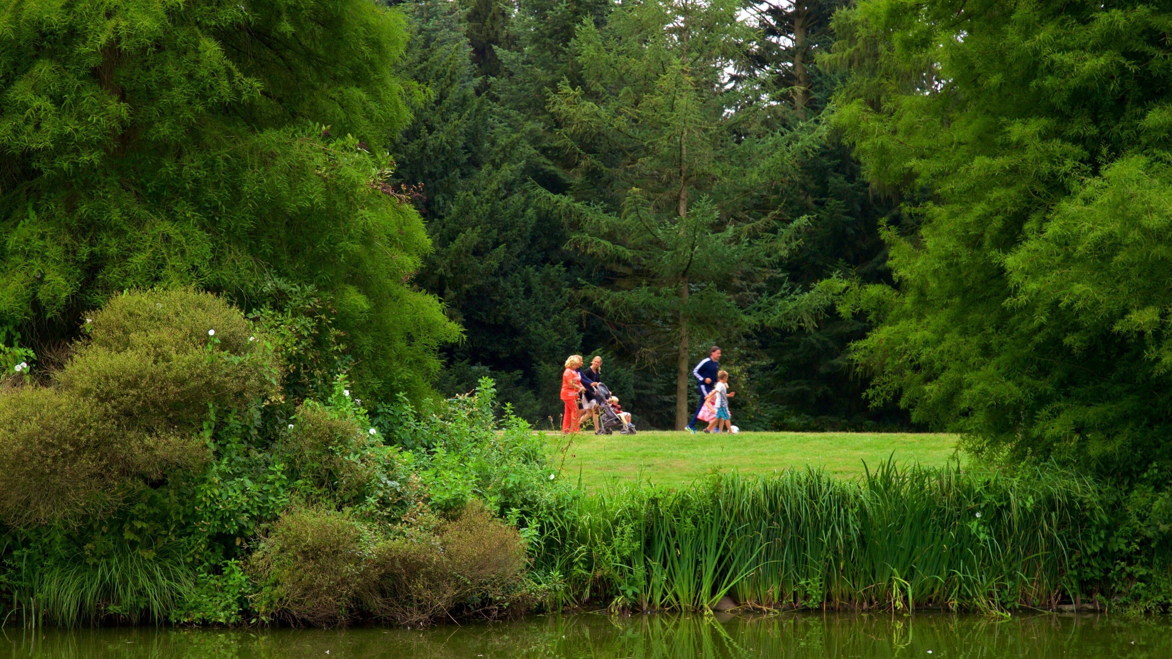 Bremen Buergerpark featuring a lake or waterhole and a park