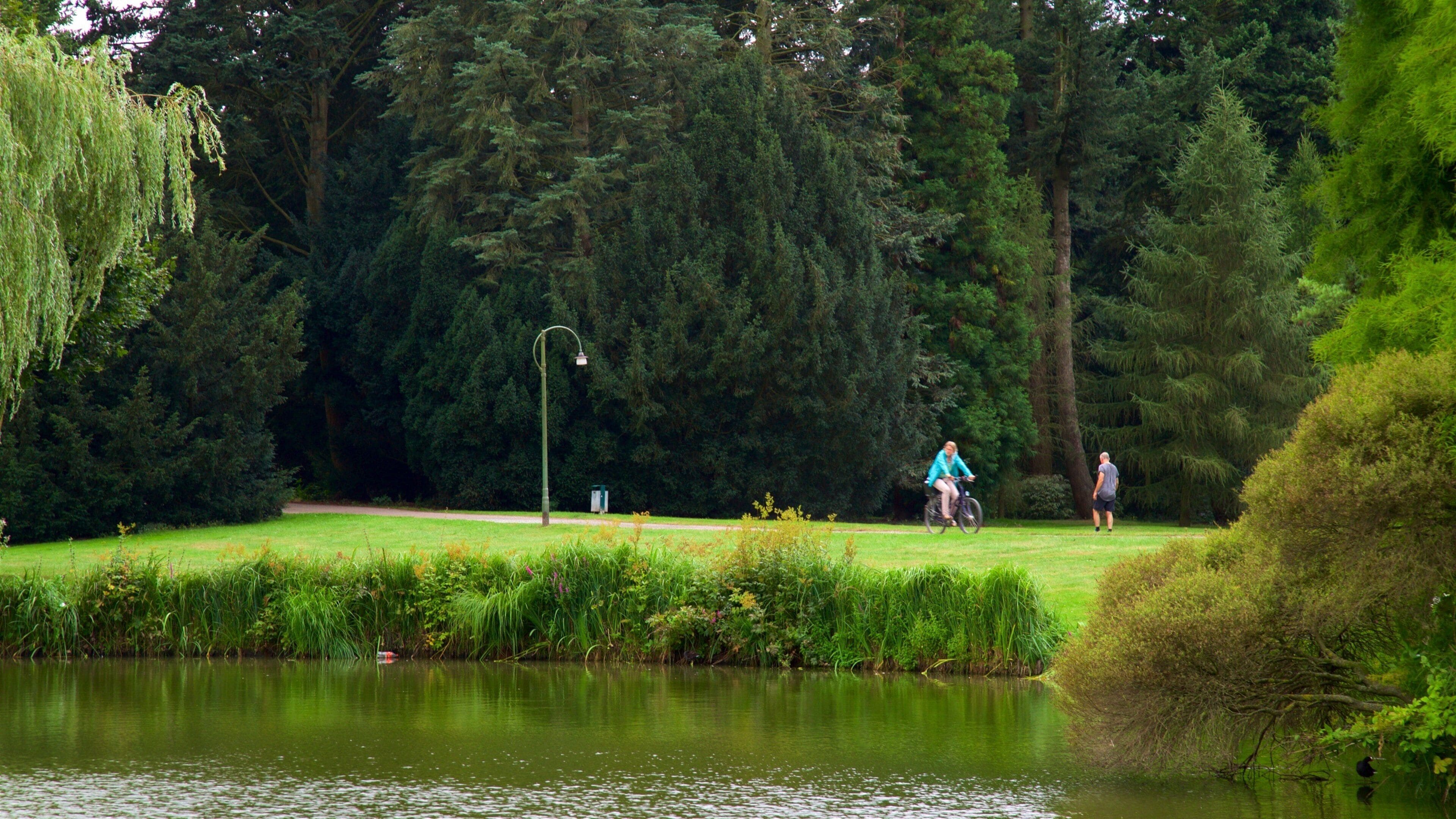 Bremen Buergerpark trong đó bao gồm hồ nước, đạp xe và công viên