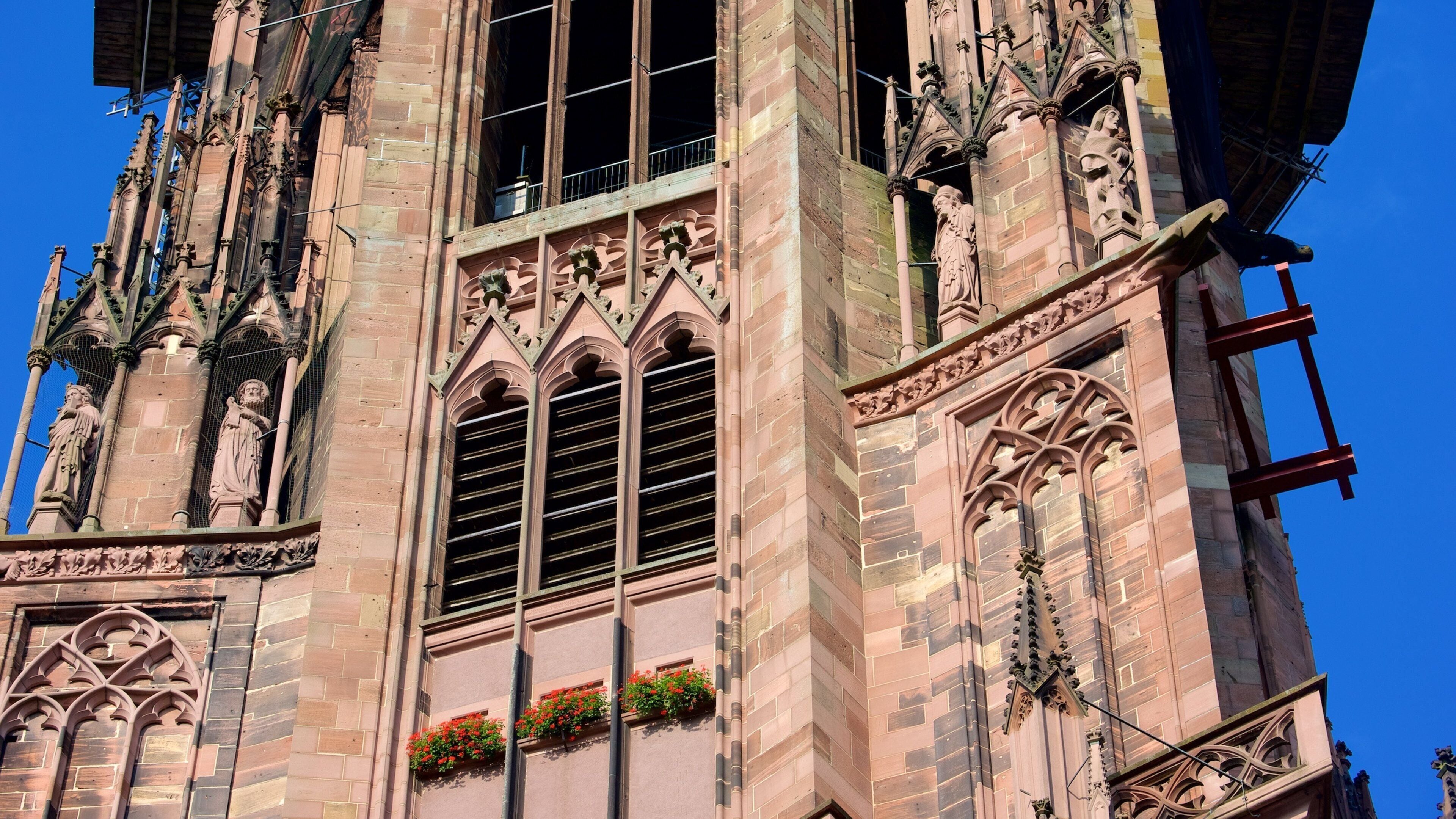 Freiburg Main Cathedral featuring a church or cathedral