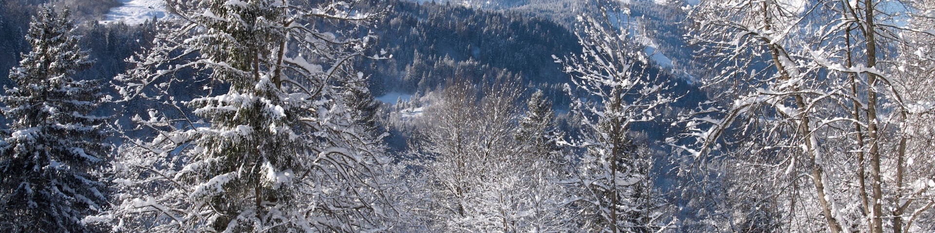 Paisagem montanhosa coberta de neve, com uma cerca de madeira e árvores.