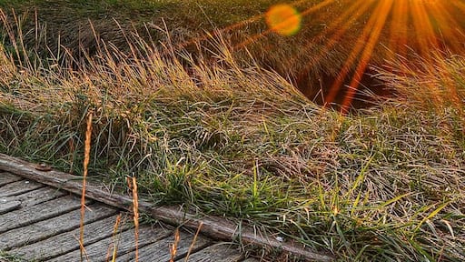 Westerhever