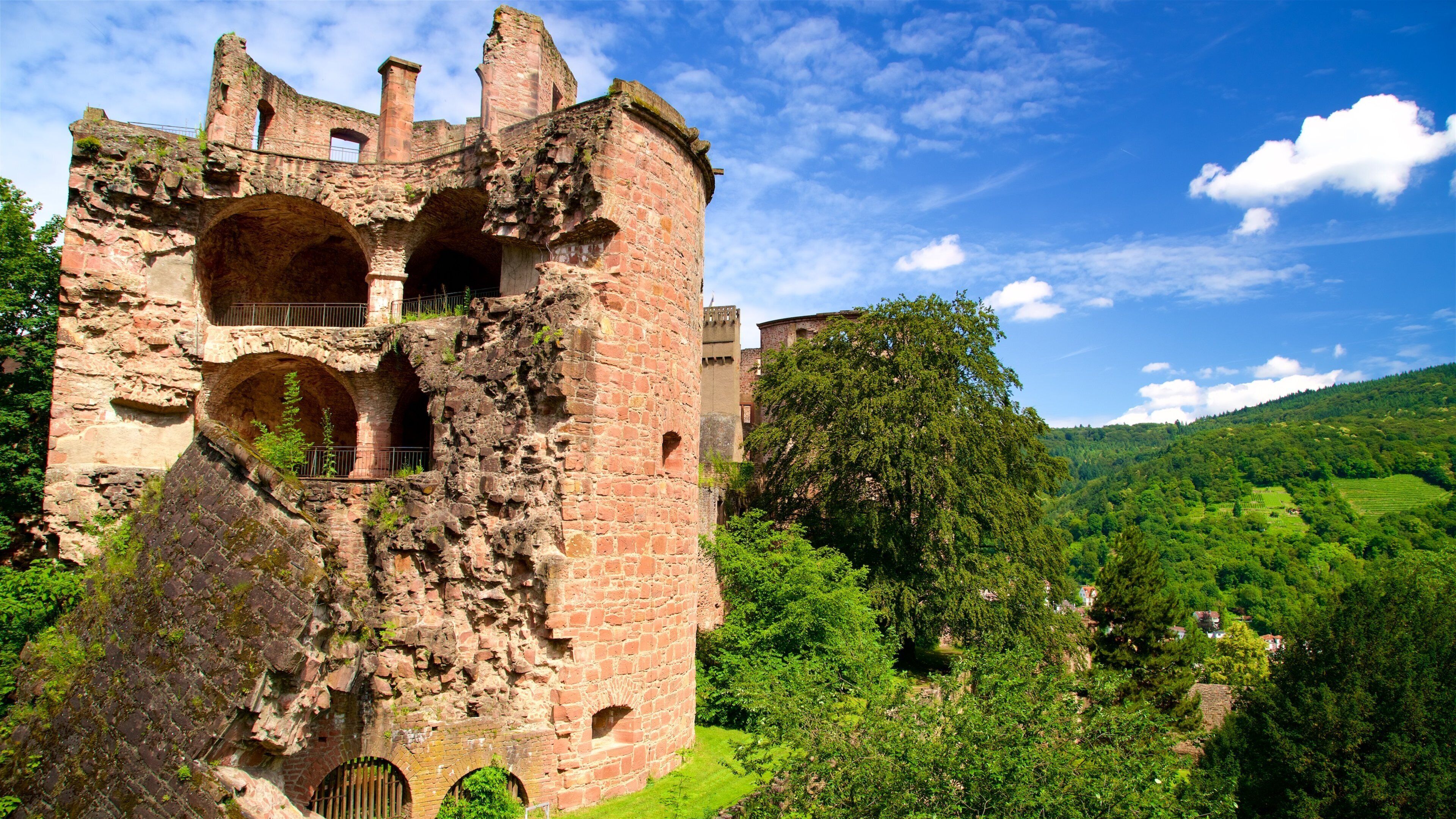 Heidelberg Castle showing a ruin and tranquil scenes