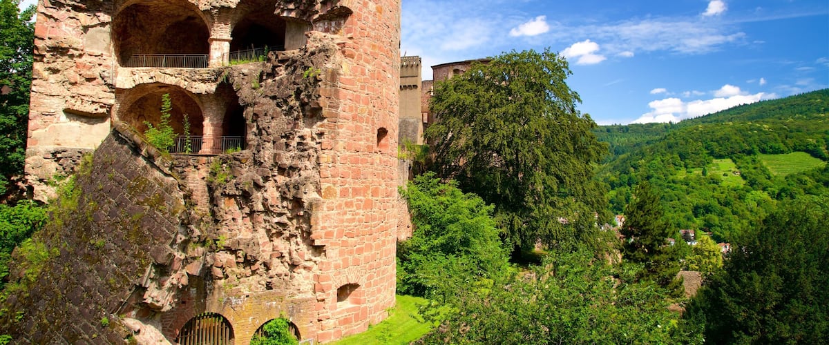 Kasteel van Heidelberg toont vredige uitzichten en een ruïne