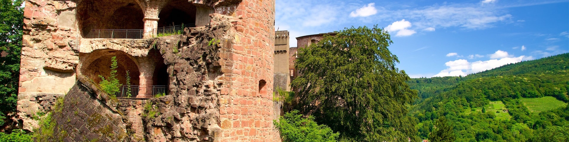 Heidelberg Castle featuring tranquil scenes and a ruin