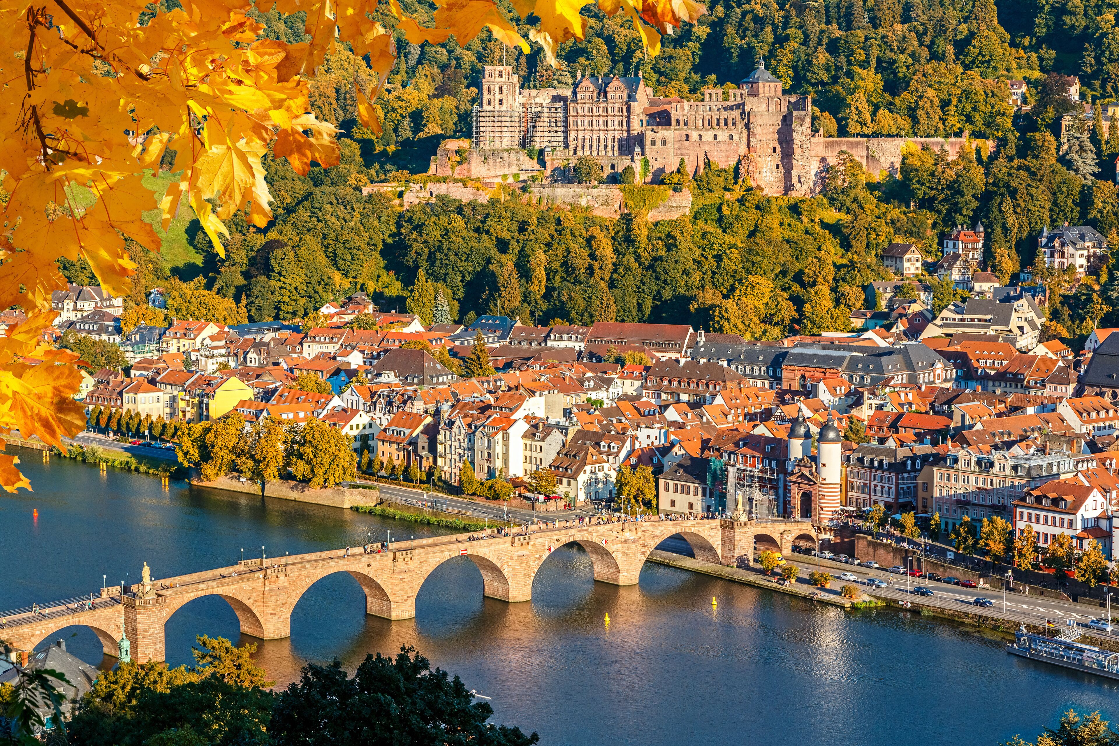 View on Heidelberg