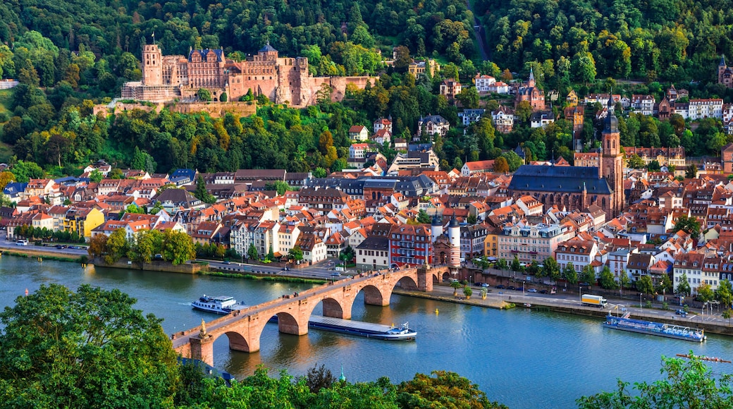A riverside town with historic buildings, a prominent castle, and a bridge.