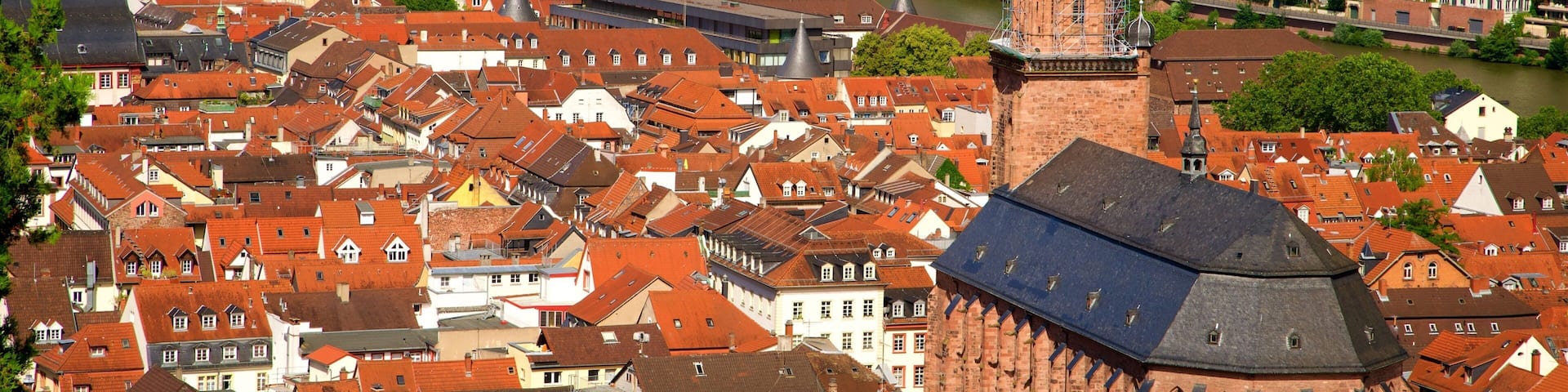 Heidelberg Church of the Holy Spirit showing a city and heritage elements