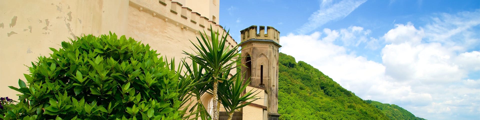 Stolzenfels Castle which includes tranquil scenes and heritage architecture