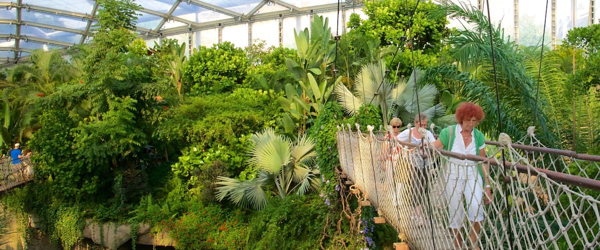 Leipzig Zoo which includes a bridge and interior views as well as a small group of people