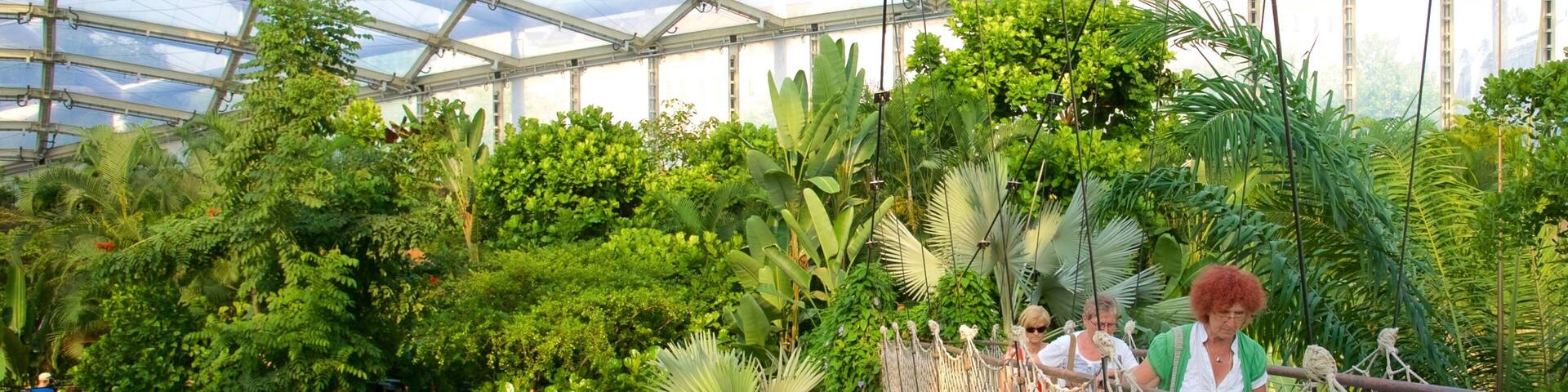 Zoo de Leipzig montrant vues intérieures et pont aussi bien que petit groupe de personnes