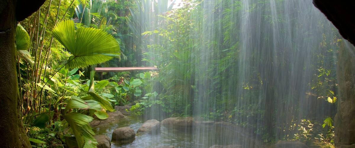 Leipzig Zoo which includes interior views and a waterfall
