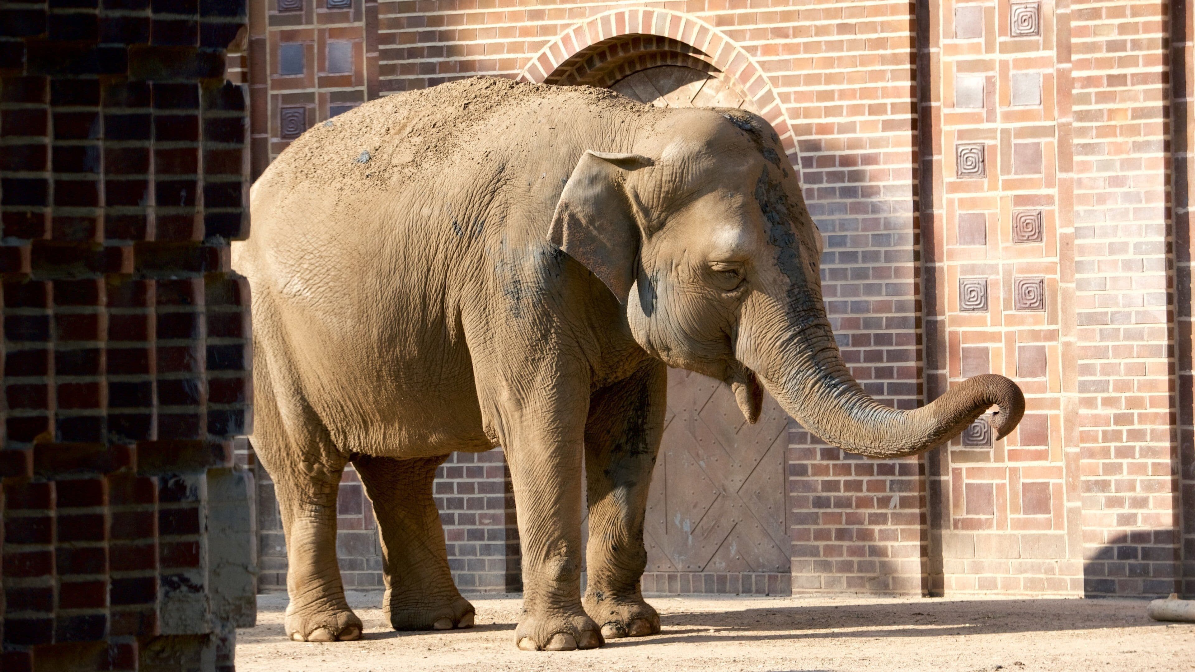 Zoo de Leipzig que incluye animales terrestres y animales del zoológico