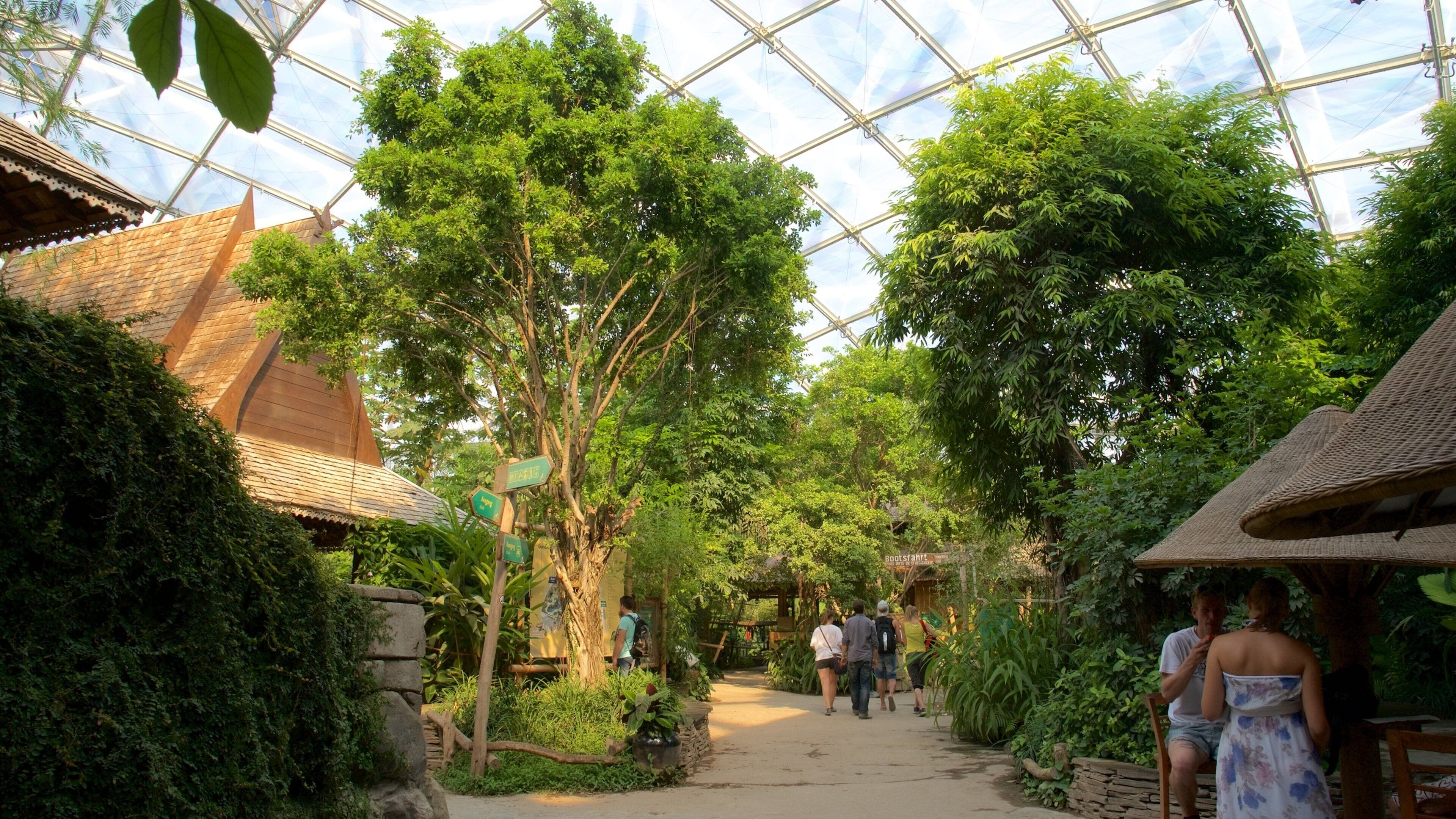 Leipzig Zoo showing zoo animals and interior views