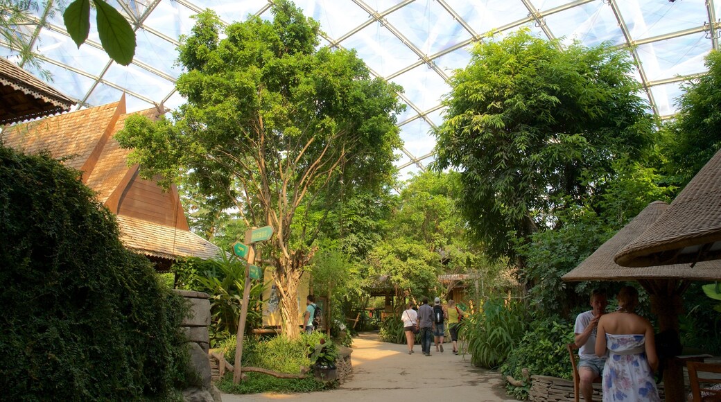 Leipzig Zoo inclusief dierentuindieren en interieur