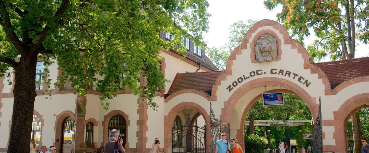 Zoo Leipzig mit einem Zootiere und Straßenszenen sowie kleine Menschengruppe