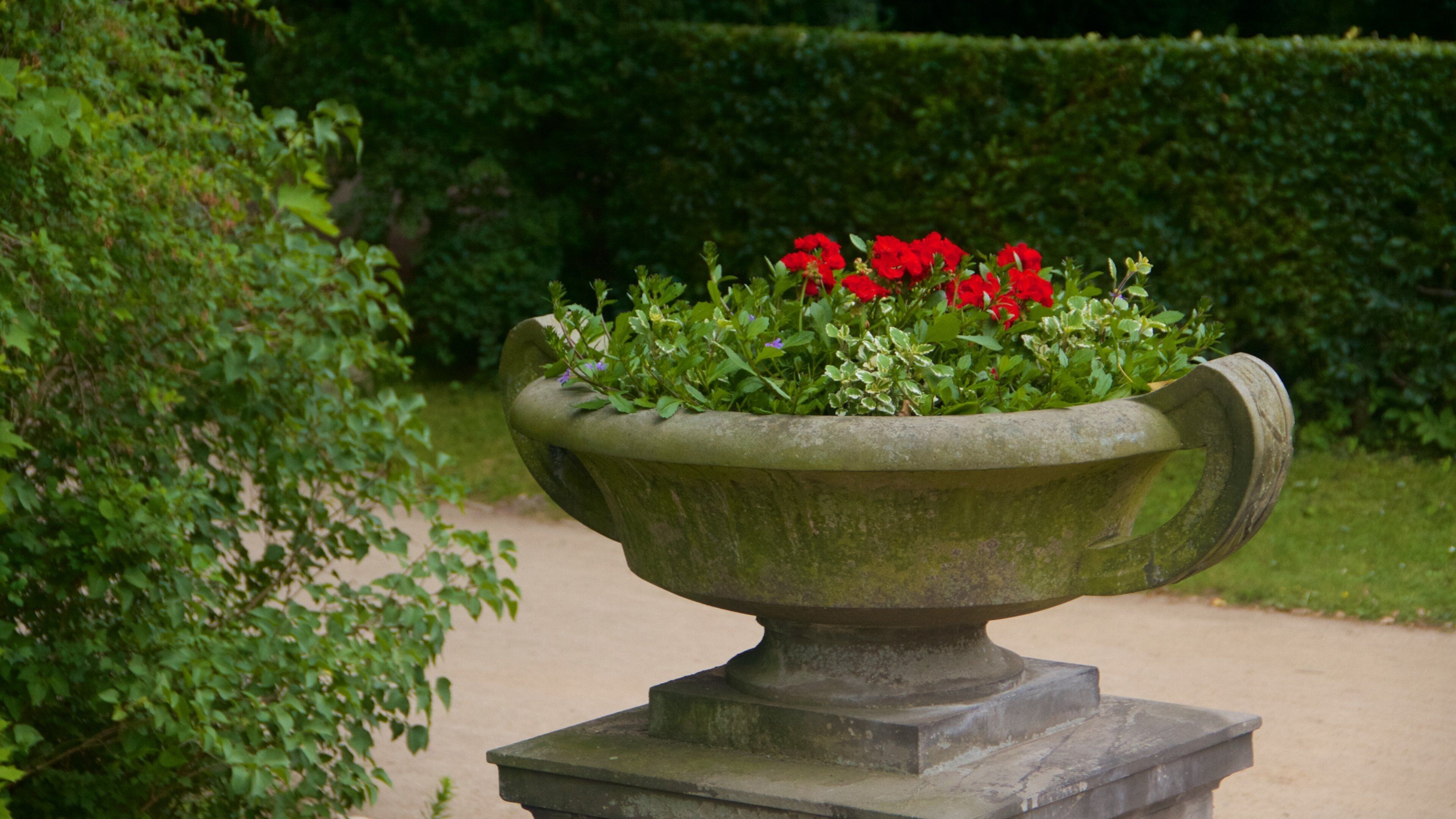 Chinesisches Haus som viser blomster og en have