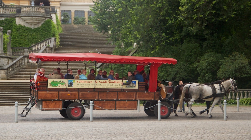 ChĂąteau de l\'Orangerie