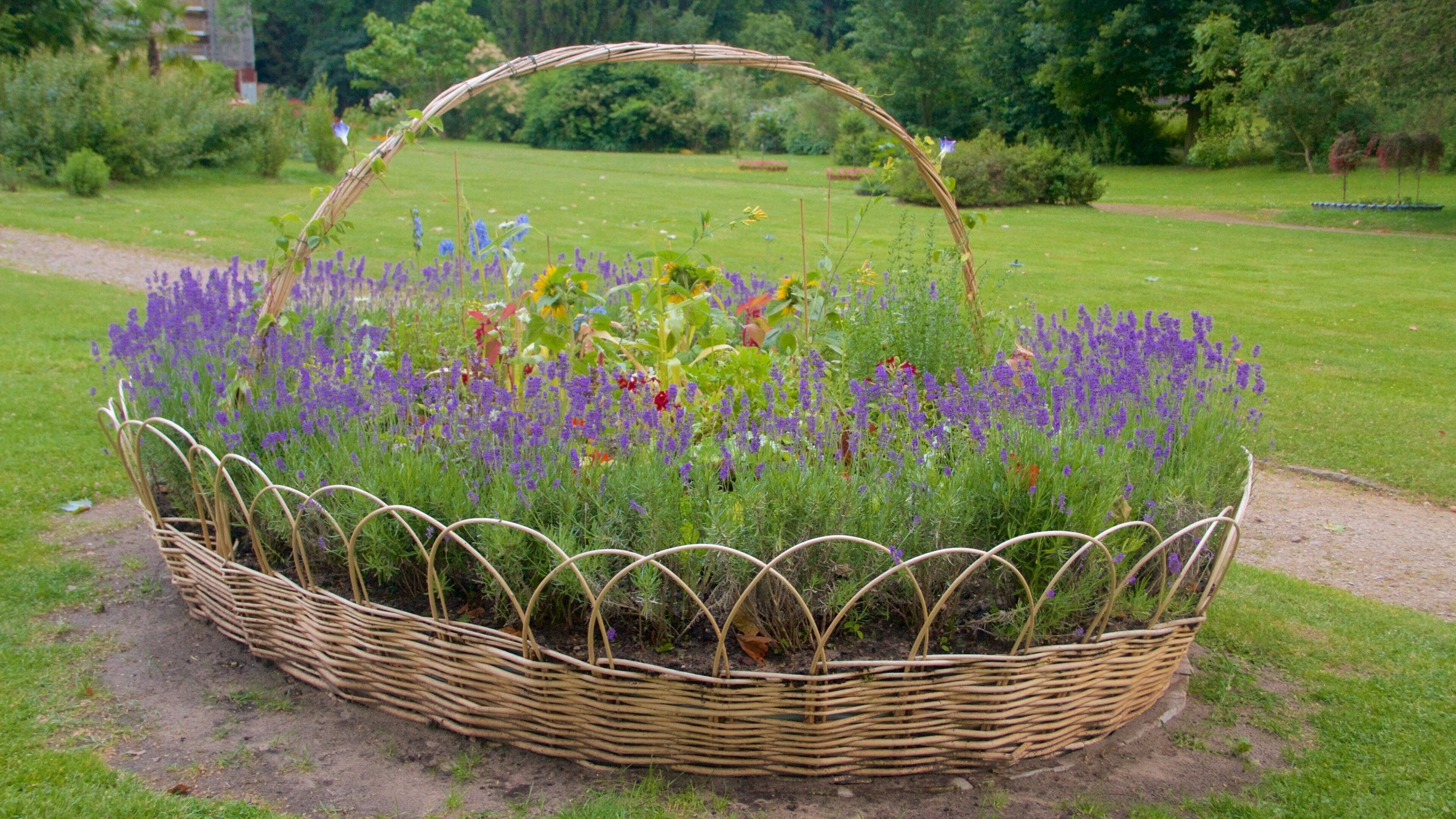 Park Babelsberg bevat een park en bloemen