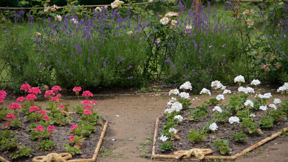 Parque de Babelsberg que incluye flores y un parque