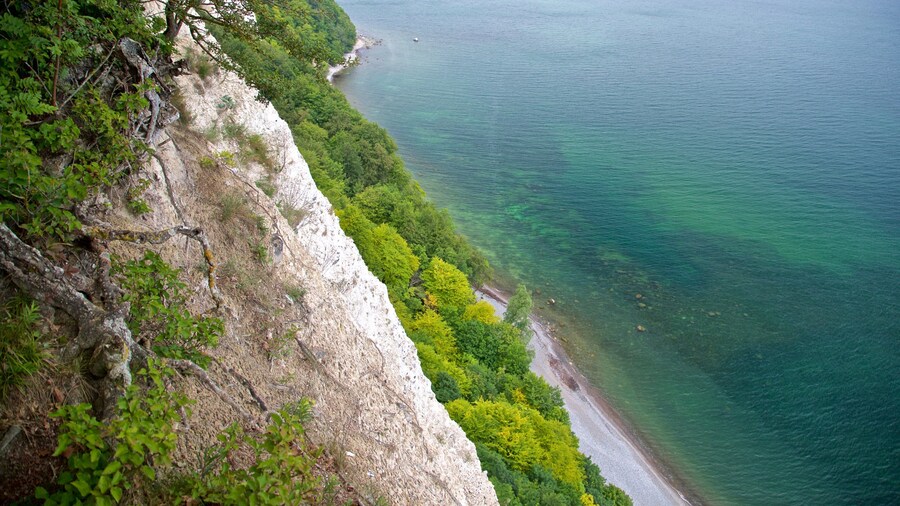 Jasmund National Park showing general coastal views and rocky coastline