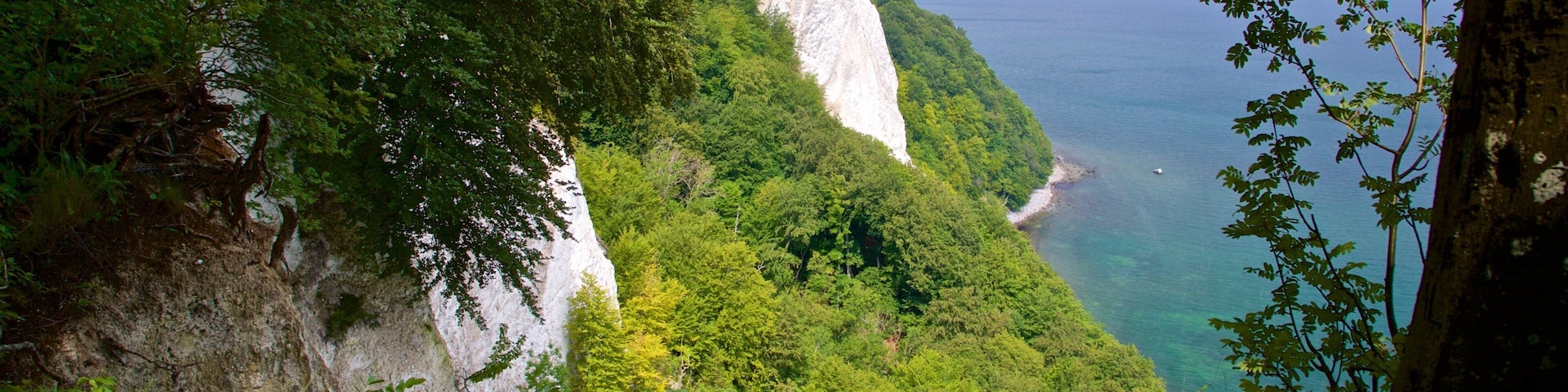 Jasmund National Park featuring rocky coastline and general coastal views