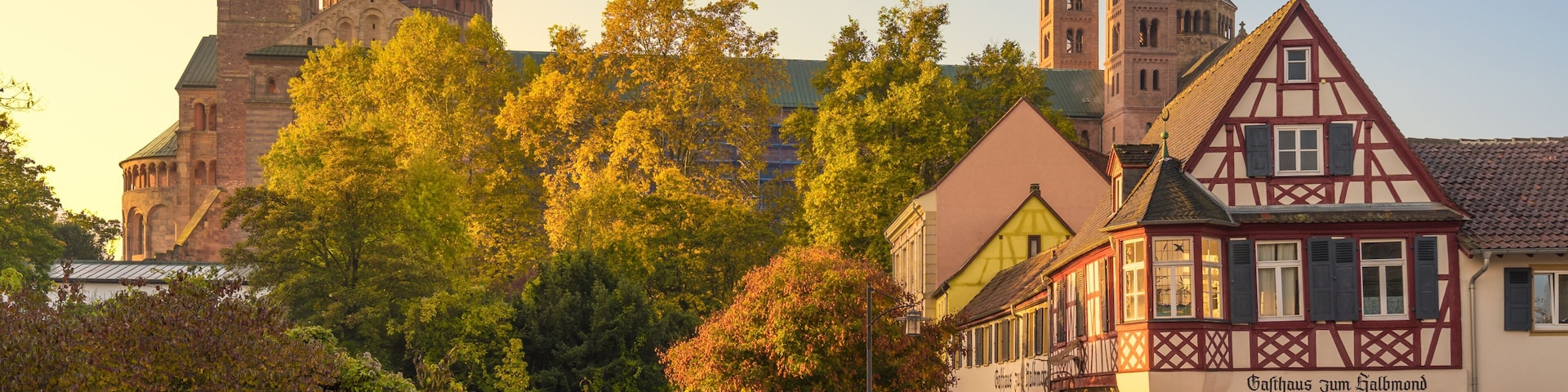 Dom zu Speyer im Herbst
