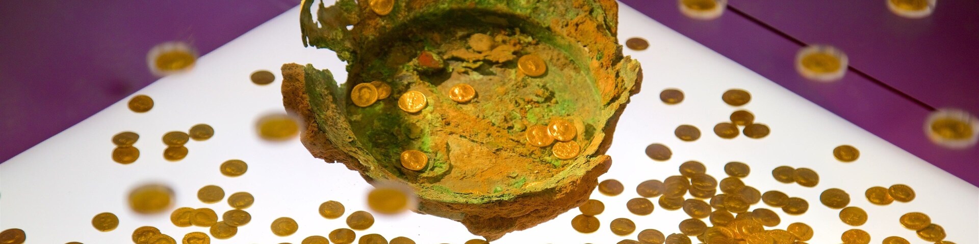 Rheinisches Landesmuseum