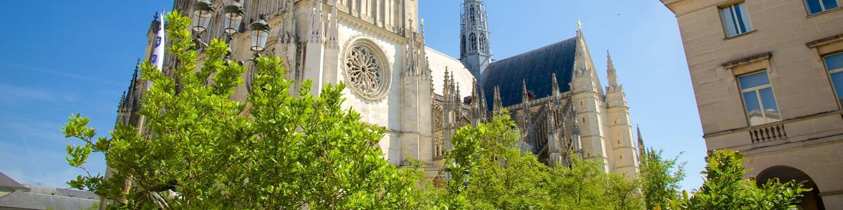 A large Gothic cathedral with intricate architecture, a tall spire, and lush green trees in the foreground.