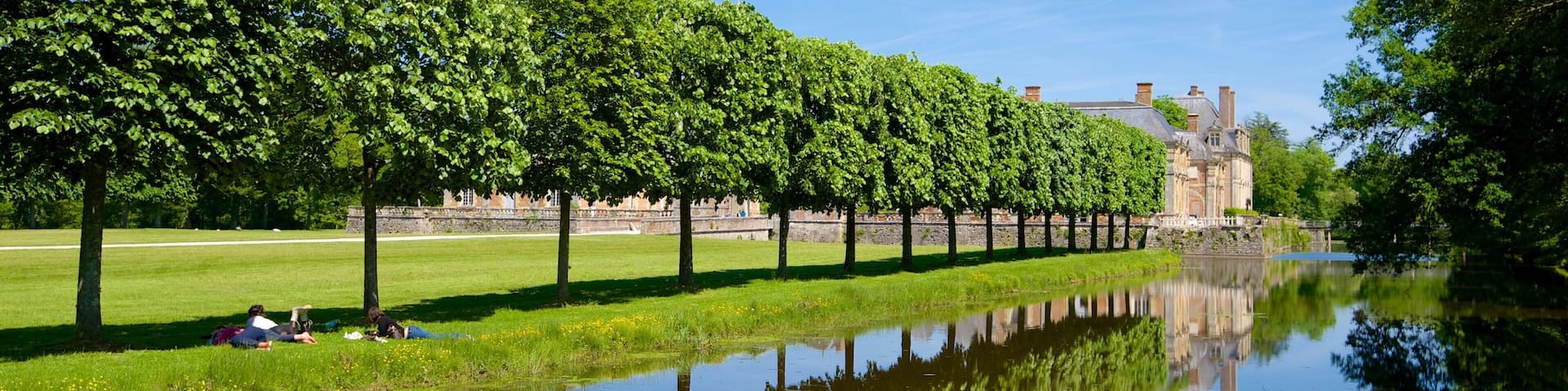 Chateau de la Ferte-St-Aubin which includes a pond and a park