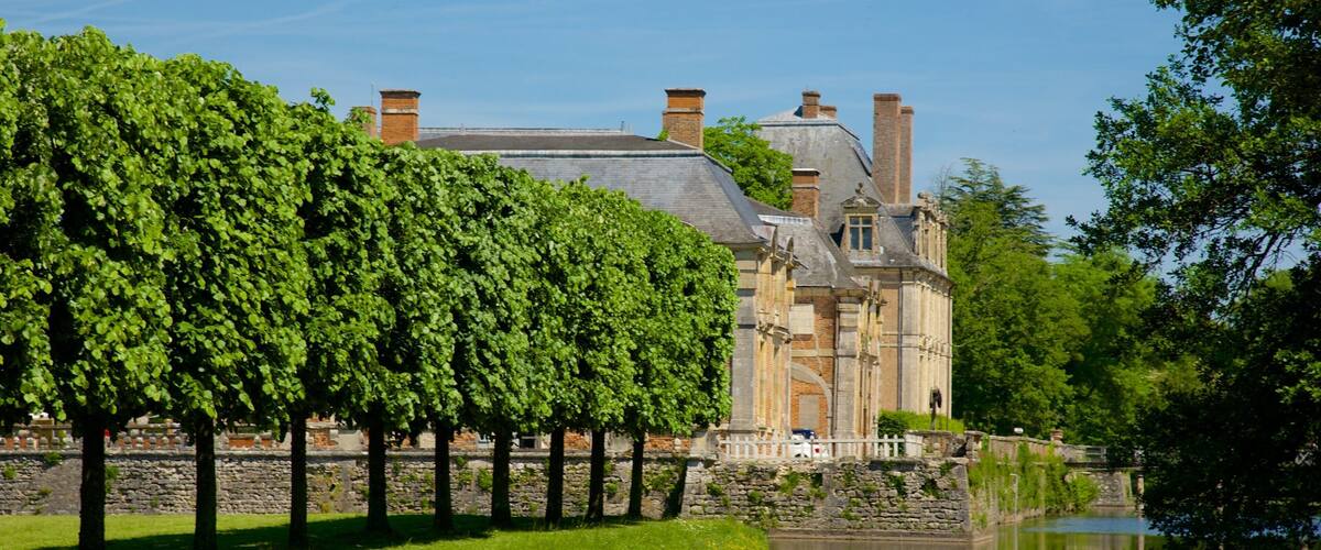 Chateau de la Ferte-St-Aubin showing a park, a castle and a pond