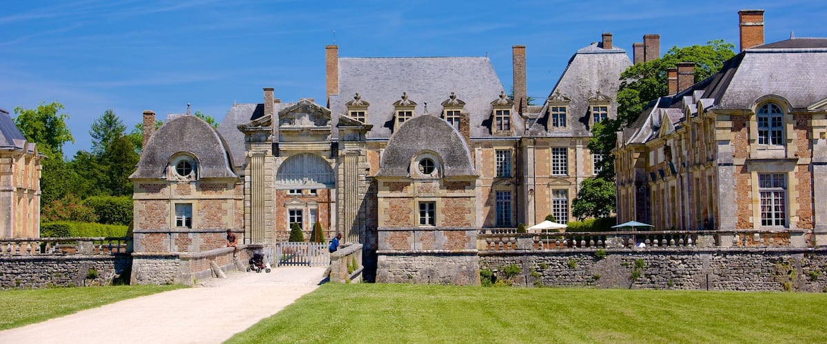 Chateau de la Ferte-St-Aubin featuring chateau or palace and heritage architecture