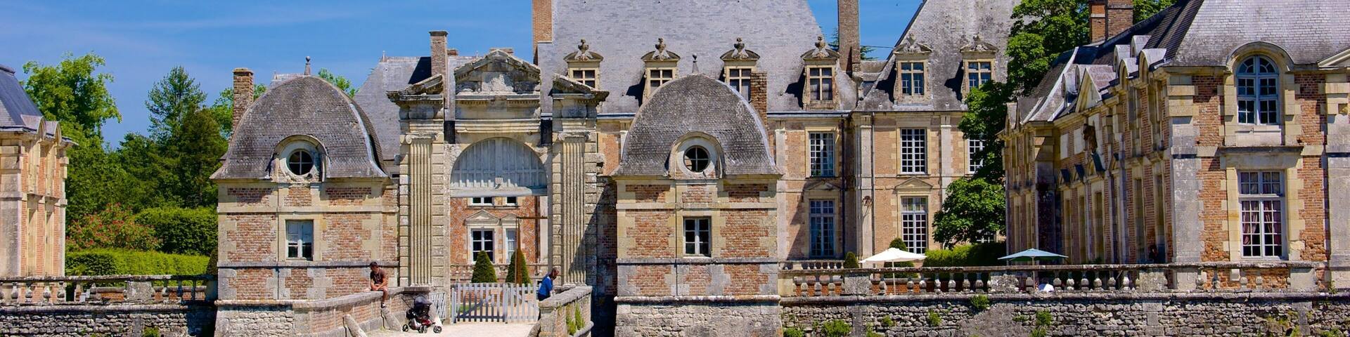 Chateau de la Ferte-St-Aubin featuring chateau or palace and heritage architecture