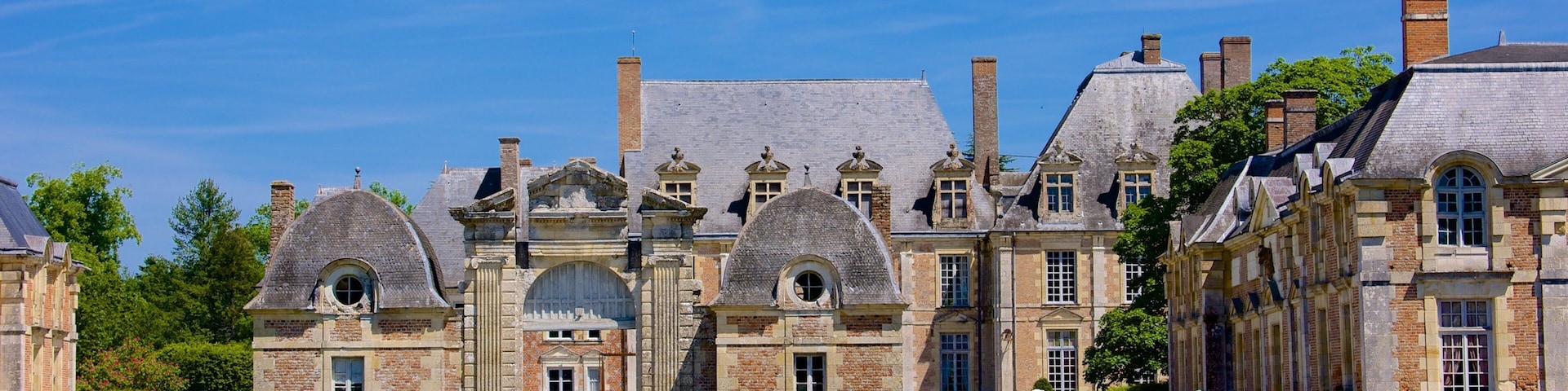 Chateau de la Ferte-St-Aubin featuring chateau or palace and heritage architecture