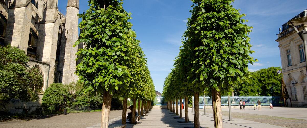 Cathédrale de Bourges montrant parc