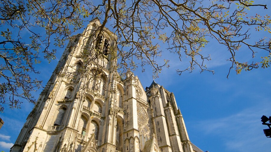 Catedral de Bourges ofreciendo patrimonio de arquitectura y una iglesia o catedral